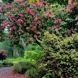 Everything MUST GO by END OF APRIL!!